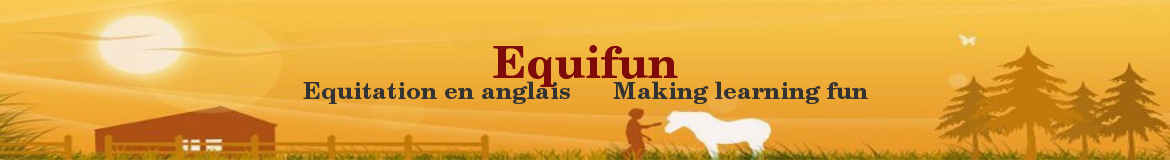 Equifun